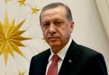 رجب طیب اردوغان,اخبار سیاسی,خبرهای سیاسی,خاورمیانه