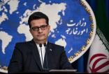 سید عباس موسوی,اخبار سیاسی,خبرهای سیاسی,سیاست خارجی