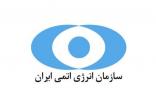 سازمان انرژی اتمی,اخبار سیاسی,خبرهای سیاسی,سیاست خارجی
