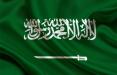 ویزای آمریکا یا اروپا بگیرید و به عربستان سفر کنید سفر به عربستان با ویزای آمریکا,اخبار اجتماعی,خبرهای اجتماعی,محیط زیست