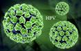 ویروس HPV,اخبار پزشکی,خبرهای پزشکی,مشاوره پزشکی