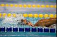 شنای قهرمانی آسیا ۲۰۱۹,اخبار ورزشی,خبرهای ورزشی,ورزش