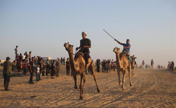 تصاویر مسابقات شترسواری در غزه,عکس های مسابقات شترسواری در غزه در فلسطین,عکس شترسواری در فلسطین