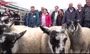 فیلم/ مراسم سنتی گذراندن گوسفندان از روی پل لندن
