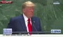 فیلم/ چُرت زدن وزیر تجارت آمریکا هنگام سخنرانی ترامپ در سازمان ملل