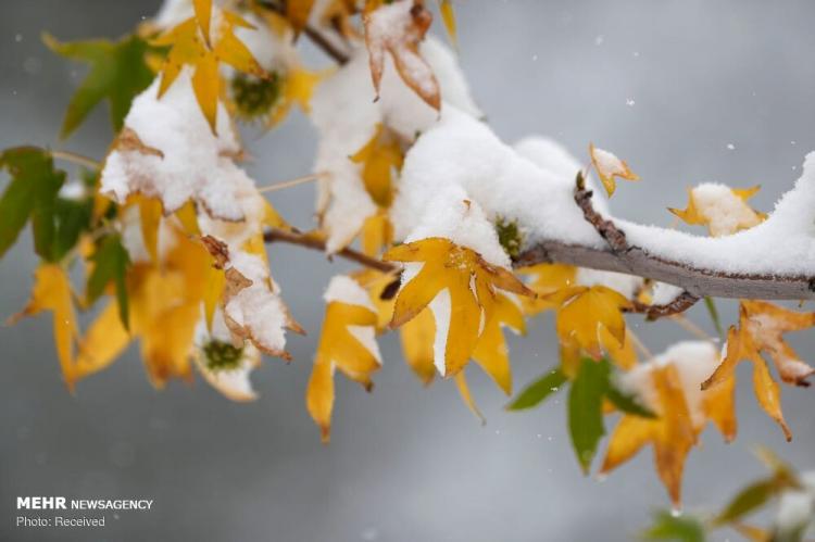 تصاویر برف در آمریکا,عکس های آب و هوای آمریکا,تصاویر اولین برف سال در آمریکا
