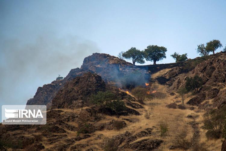 تصاویر آتش سوزی در ارتفاعات سروآباد,عکس های آتش سوزی در ارتفاعات سروآباد,تصاویر ارتفاعات سروآباد