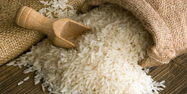 افزایش واردات برنج در کشور,اخبار اقتصادی,خبرهای اقتصادی,تجارت و بازرگانی