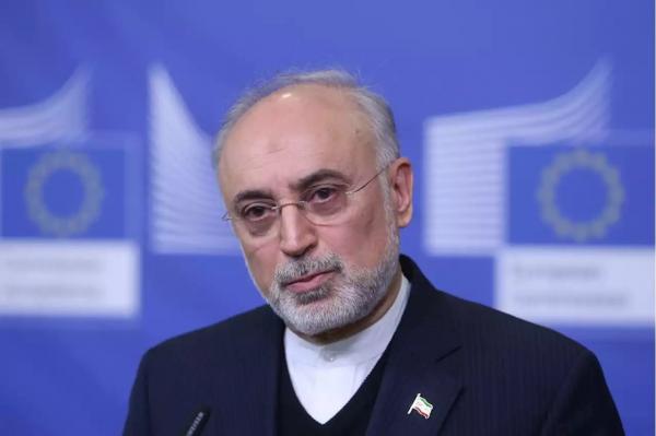 علی اکبر صالحی علی اکبر صالحی,اخبار سیاسی,خبرهای سیاسی,سیاست خارجی