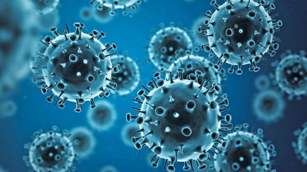 مرگ چند نفر بر اثر آنفلوآنزا در گیلان,اخبار پزشکی,خبرهای پزشکی,بهداشت