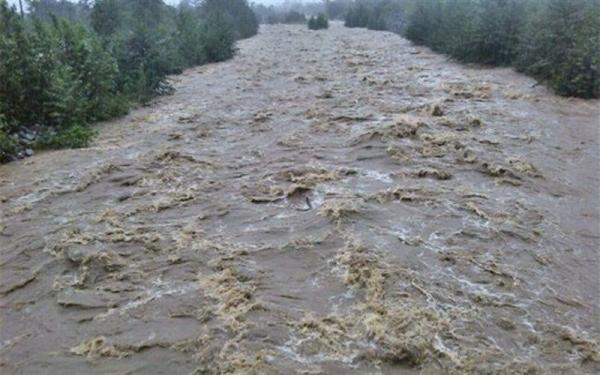 بارش باران در استان البرز,اخبار اجتماعی,خبرهای اجتماعی,شهر و روستا