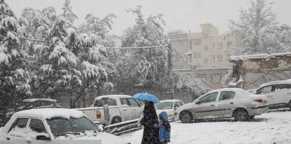 بارش برف در تهران,اخبار پزشکی,خبرهای پزشکی,بهداشت
