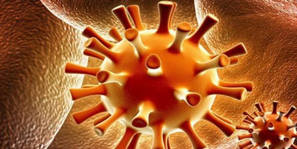 سرطان,اخبار پزشکی,خبرهای پزشکی,تازه های پزشکی