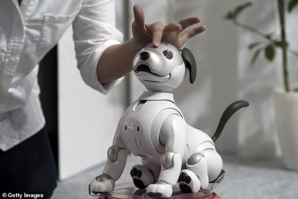 سگ رباتیک سونی AIBO,اخبار علمی,خبرهای علمی,اختراعات و پژوهش