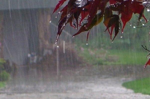 بارش باران در کشور,اخبار اجتماعی,خبرهای اجتماعی,وضعیت ترافیک و آب و هوا