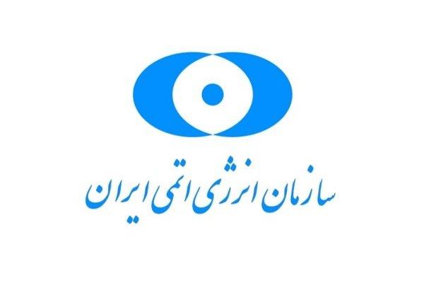 سازمان انرژی اتمی ایران,اخبار سیاسی,خبرهای سیاسی,سیاست خارجی