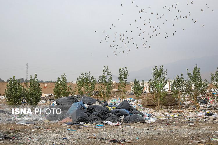 تصاویر گاراژ تفکیک زباله اشرف‌آباد,عکس های گاراژ تفکیک زباله اشرف‌آباد,تصاویر کارگران زباله‌گرد در شهر ری