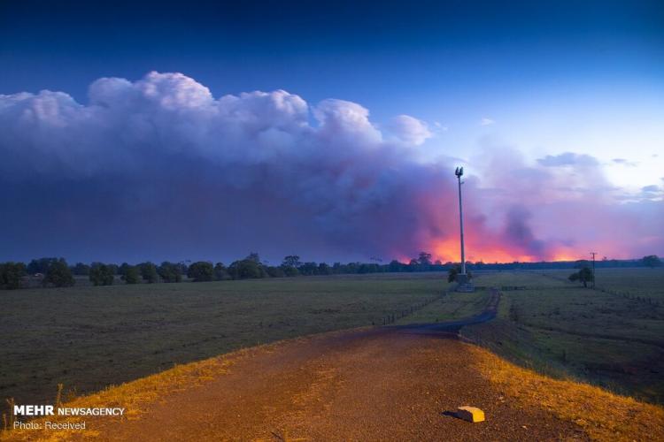 تصاویر آتش سوزی در استرالیا,عکس های آتش سوزی در استرالیا,تصاویر خسارات آتش سوزی در استرالیا