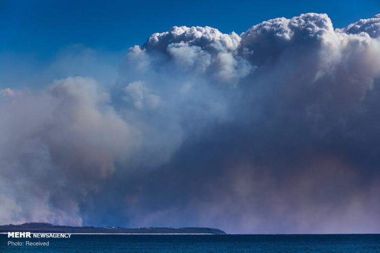 تصاویر آتش سوزی در استرالیا,عکس های آتش سوزی در استرالیا,تصاویر خسارات آتش سوزی در استرالیا