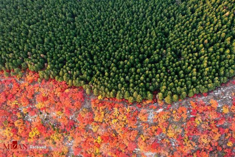 تصاویر زیبایی‌های فصل پاییز در چین,عکس های طبیعت چین,تصاویر فصل پاییز