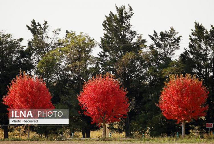 تصاویر فصل پاییز,عکس های طبیعت,تصاویر زیبا در پاییز