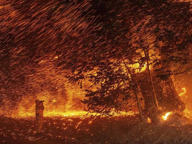 تصاویر آتش سوزی در کالیفرنیا,عکس های آتش سوزی در کالیفرنیا,تصاویر خسارات آتش‌سوزی در ایالت کالیفرنیا