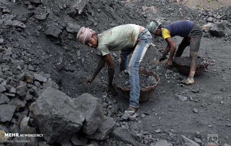 تصاویر صنعت تولید زغال سنگ در هند,عکس های معادل ذغال سنگ هند,تصاویر کسب و کار در هند