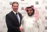 سقوط سهام WWE,اخبار ورزشی,خبرهای ورزشی,ورزش