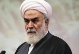 غلامحسین محمدی گلپایگانی,اخبار سیاسی,خبرهای سیاسی,اخبار سیاسی ایران