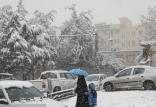بارش برف در تهران,اخبار پزشکی,خبرهای پزشکی,بهداشت