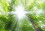 نور خورشید,اخبار پزشکی,خبرهای پزشکی,تازه های پزشکی