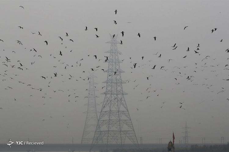 تصاویر آلودگی در دهلی نو,عکس های آتش سوزی مزارع در هند,تصاویر آلودگی شدید در هند