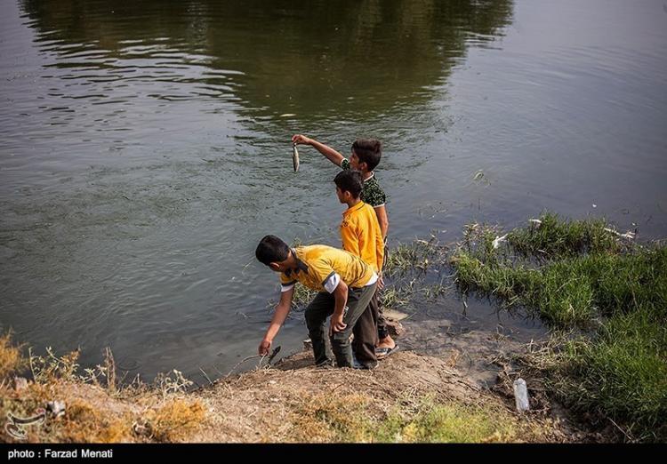 تصاویر رودخانه قره‌سو کرمانشاه,عکس های طبیعت,تصاویر مسمومیت ماهی ها در رودخانه قره‌سو کرمانشاه