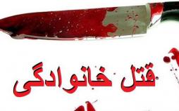 خونبازی در خانه قتلهای خانوادگی,اخبار اجتماعی,خبرهای اجتماعی,آسیب های اجتماعی