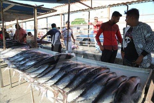 صیادان ایرانی صیادان ایرانی,اخبار اقتصادی,خبرهای اقتصادی,اقتصاد کلان