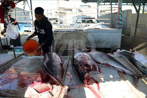 صیادان ایرانی صیادان ایرانی,اخبار اقتصادی,خبرهای اقتصادی,اقتصاد کلان