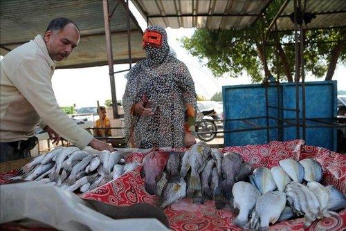 صیادان ایرانی صیادان ایرانی,اخبار اقتصادی,خبرهای اقتصادی,اقتصاد کلان