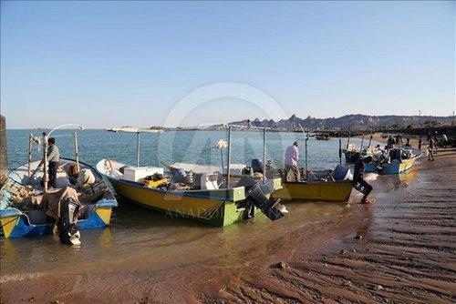 صیادان ایرانی صیادان ایرانی,اخبار اقتصادی,خبرهای اقتصادی,اقتصاد کلان