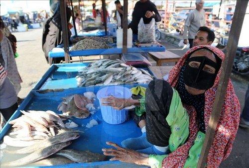 صیادان ایرانی صیادان ایرانی,اخبار اقتصادی,خبرهای اقتصادی,اقتصاد کلان