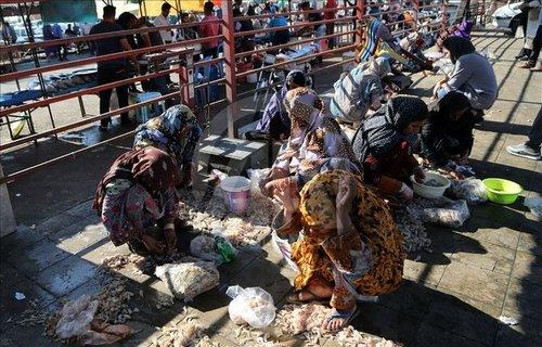 صیادان ایرانی صیادان ایرانی,اخبار اقتصادی,خبرهای اقتصادی,اقتصاد کلان