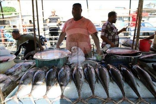 صیادان ایرانی صیادان ایرانی,اخبار اقتصادی,خبرهای اقتصادی,اقتصاد کلان