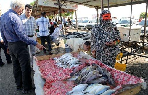 صیادان ایرانی صیادان ایرانی,اخبار اقتصادی,خبرهای اقتصادی,اقتصاد کلان