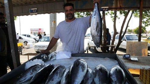 صیادان ایرانی صیادان ایرانی,اخبار اقتصادی,خبرهای اقتصادی,اقتصاد کلان