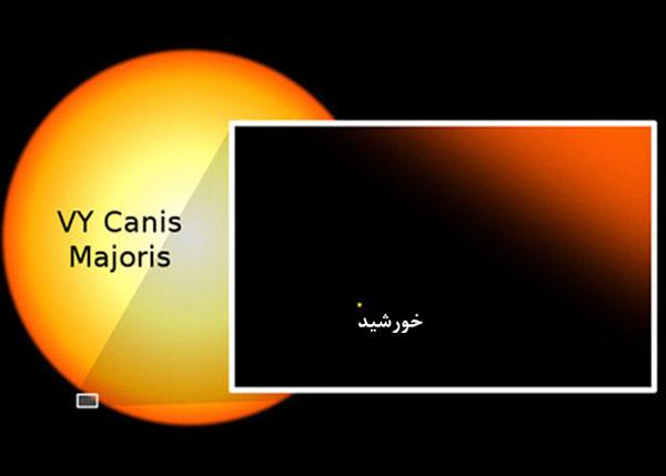 جایگاه انسان ها در کره زمین,اخبار جالب,خبرهای جالب,خواندنی ها و دیدنی ها