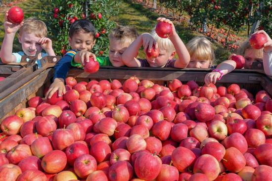 تدریس موضوعات جالب در کشور‌ها,اخبار جالب,خبرهای جالب,خواندنی ها و دیدنی ها