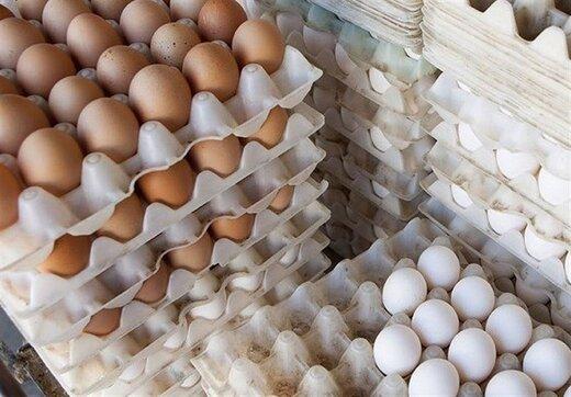 قیمت هر شانه تخم مرغ در تهران,اخبار اقتصادی,خبرهای اقتصادی,کشت و دام و صنعت