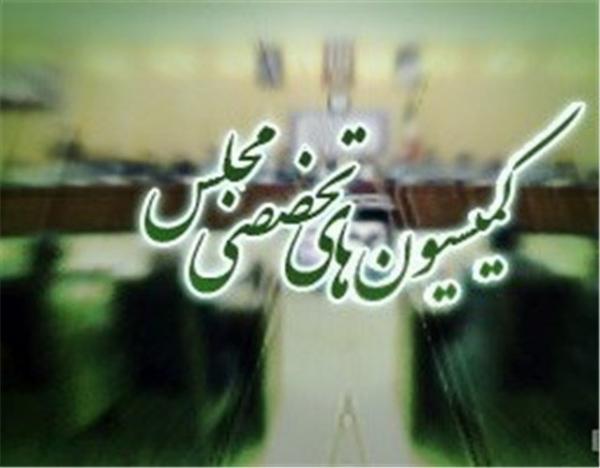کمیسیون‌های تخصصی مجلس شورای اسلامی,اخبار سیاسی,خبرهای سیاسی,مجلس