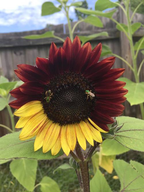 دیدنی های جالب دیدنی های جالب,اخبار جالب,خبرهای جالب,خواندنی ها و دیدنی ها