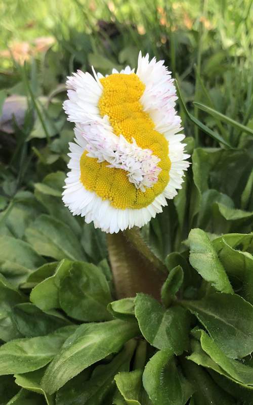 دیدنی های جالب دیدنی های جالب,اخبار جالب,خبرهای جالب,خواندنی ها و دیدنی ها