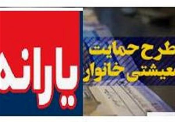 یارانه و طرح حمایت معیشتی خانوار یارانه و طرح حمایت معیشتی خانوار,اخبار اقتصادی,خبرهای اقتصادی,اقتصاد کلان
